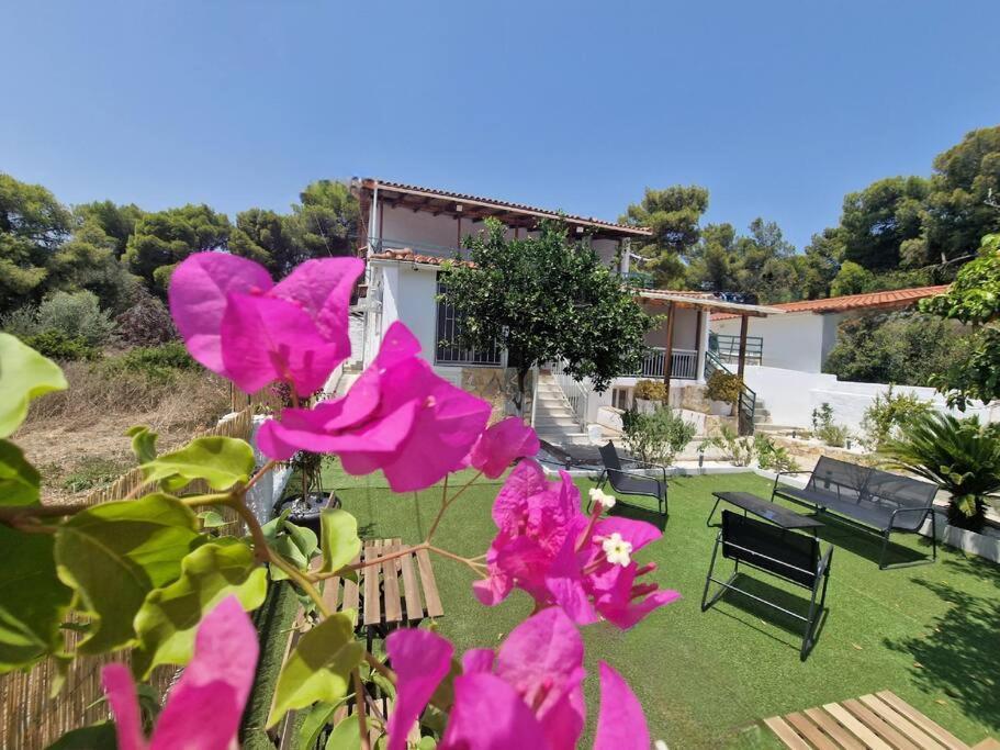 Elmy Houses V4 / Thalia ราฟีนา ภายนอก รูปภาพ